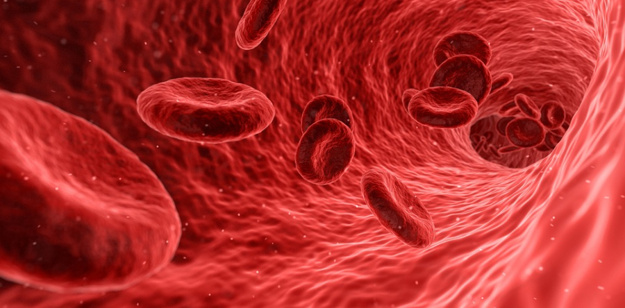 Red blood Cells Pic